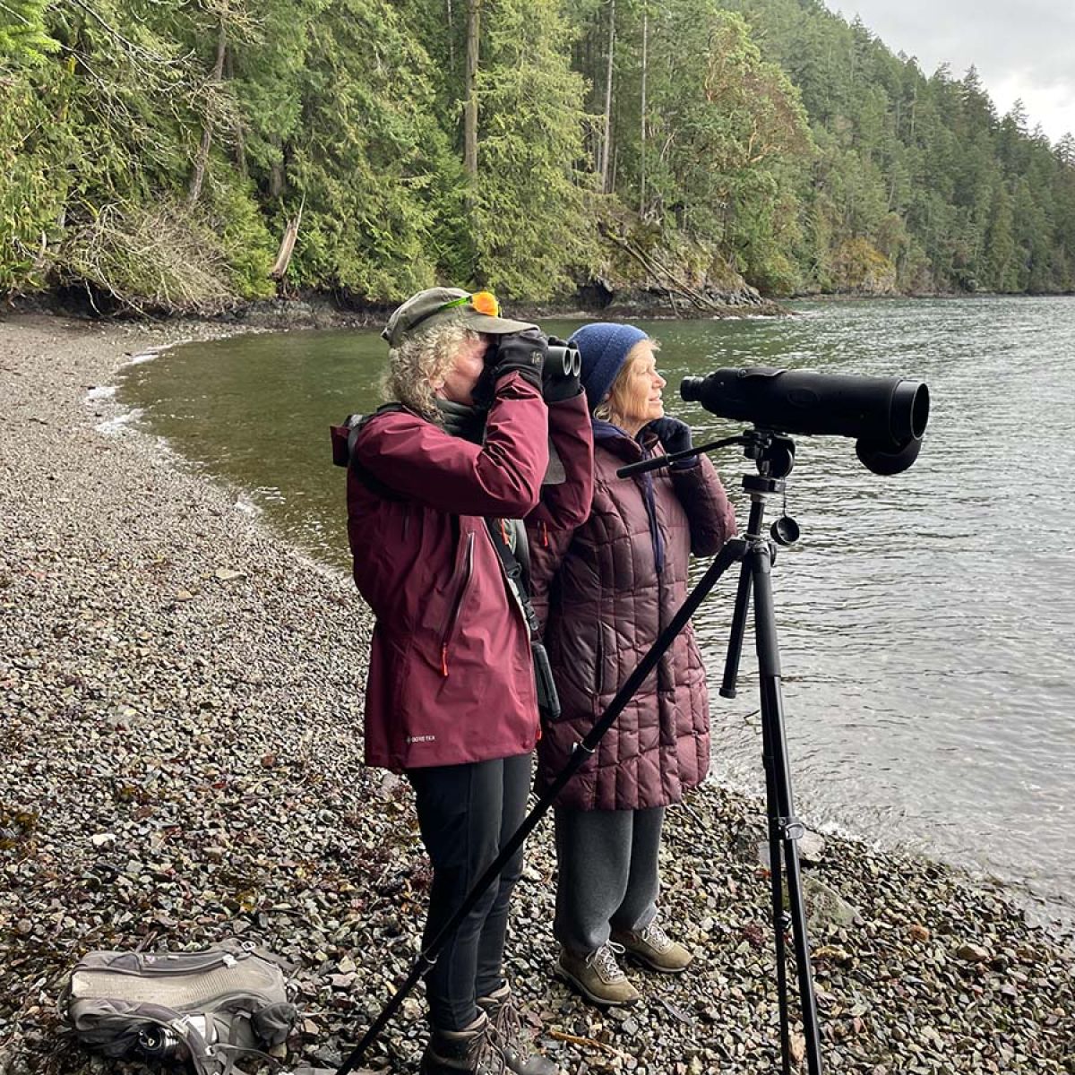 CFUW Victoria Interest Groups image